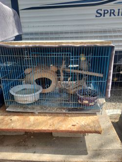 Bird cage