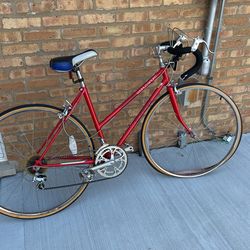 Schwinn Bike $50