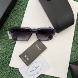 Sunglasses 