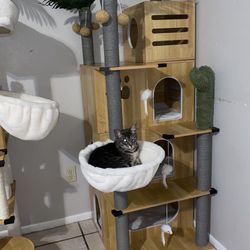 Cat Tree 