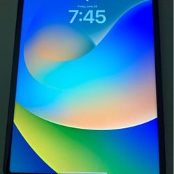 iPad Pro 6th Generation (1 TB)