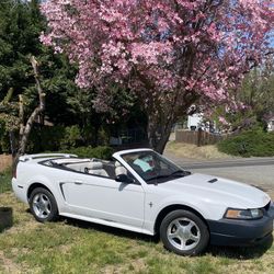 2001 Ford Mustang