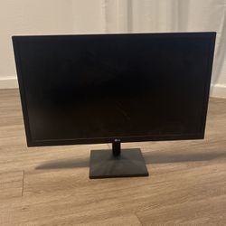 22x14 LG Desktop Monitor