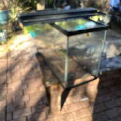 Fish Tank 