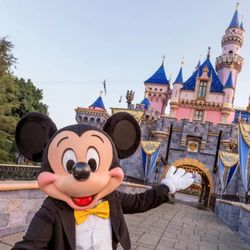 Disneyland Hopper Tickets 7/1