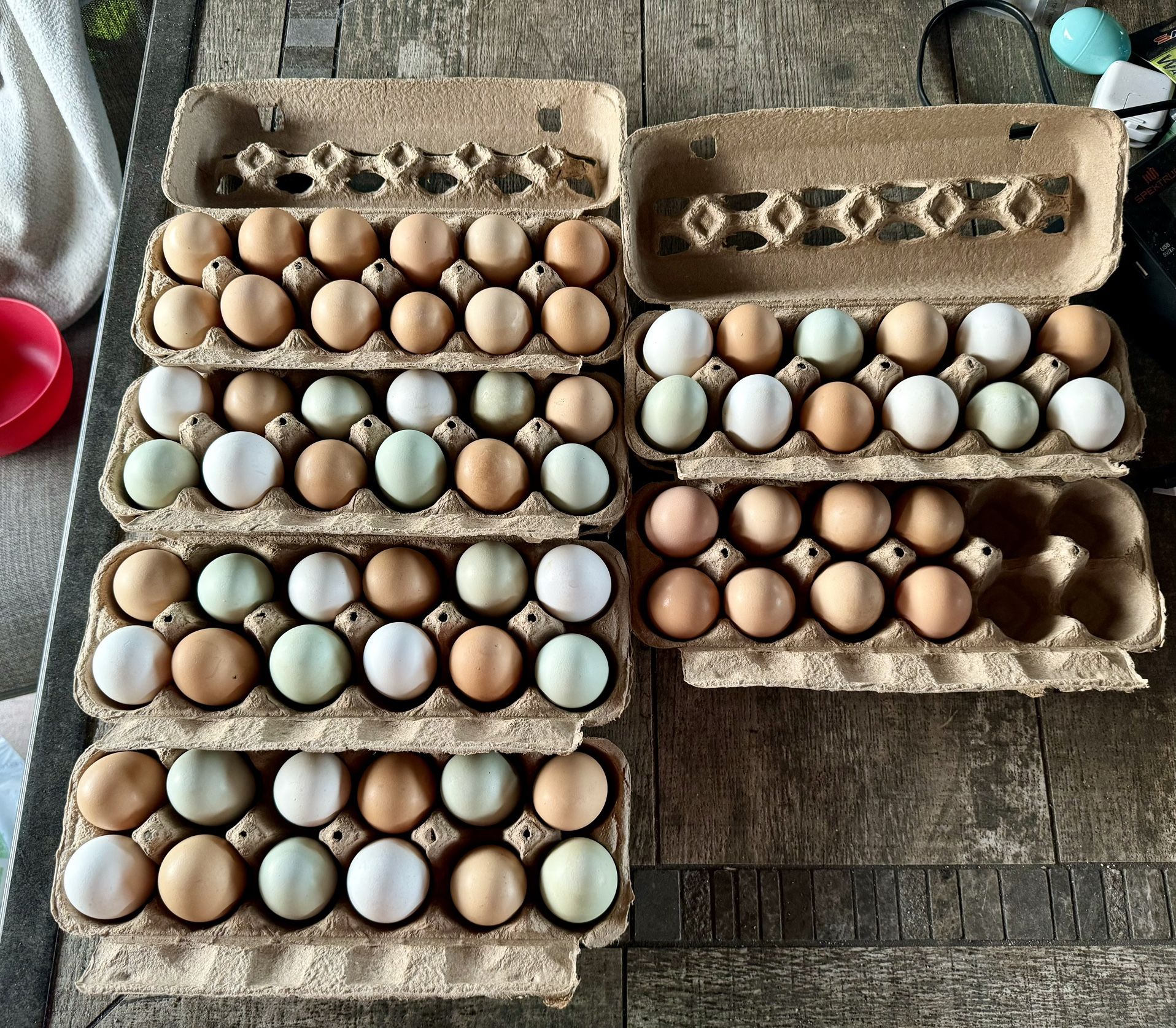 Fresh Eggs! Not Fertilized. Eggs For Eating