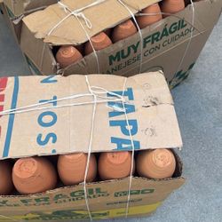 Cantaritos 72pc Por Caja 