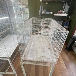 Bird Cage With Stand  70 $