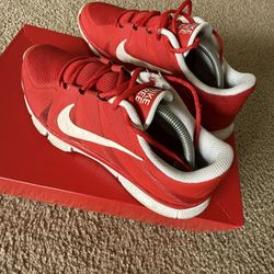 Nike Shoes (size 10.5)
