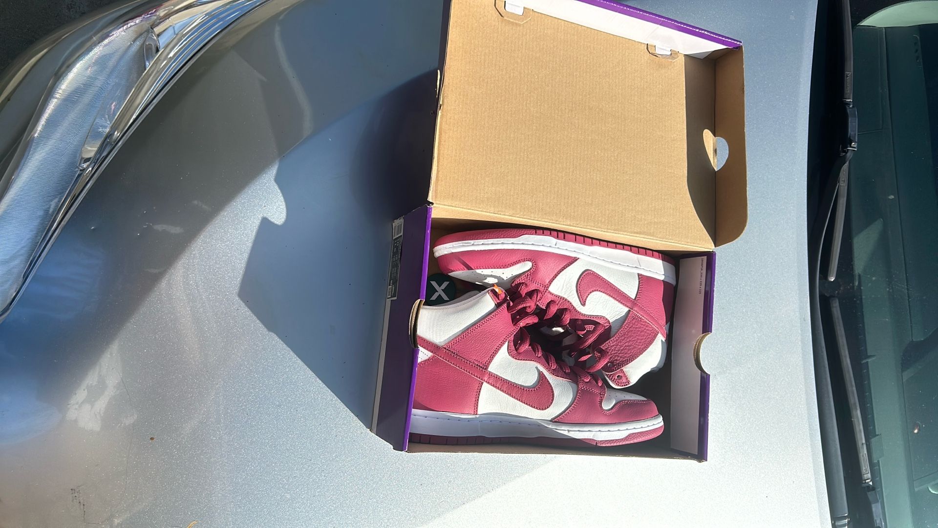 Nike Sb Shoes Cherry Color 