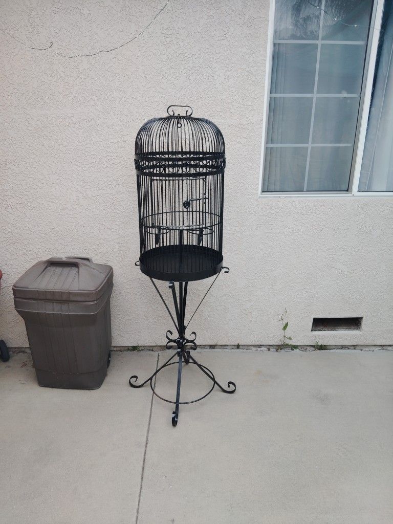Bird Cage