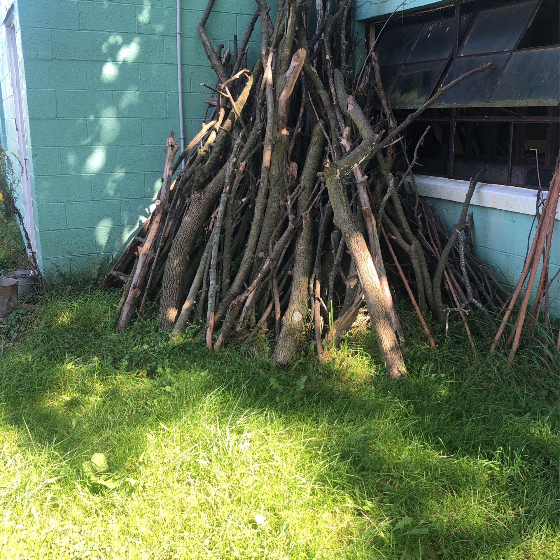 Free firewood
