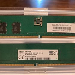 16gb DDR5 Ram Sticks