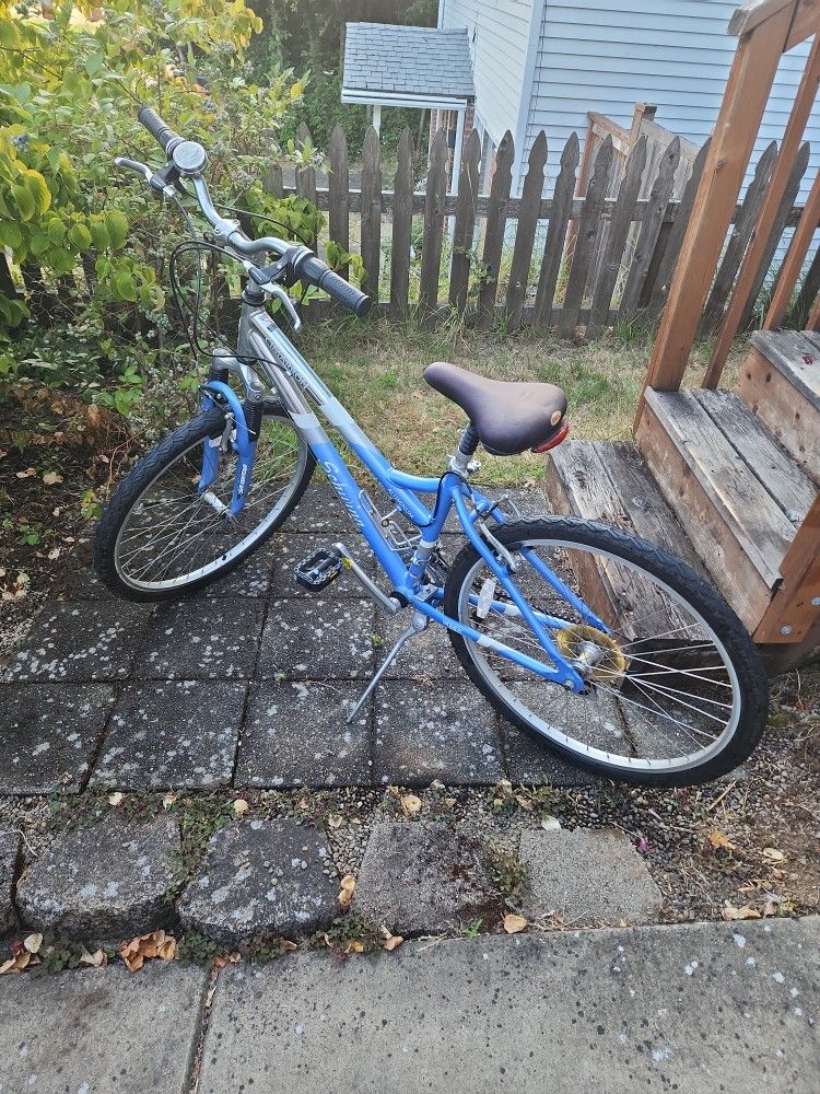 Schwinn Bicycle