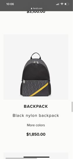 Fendi bag