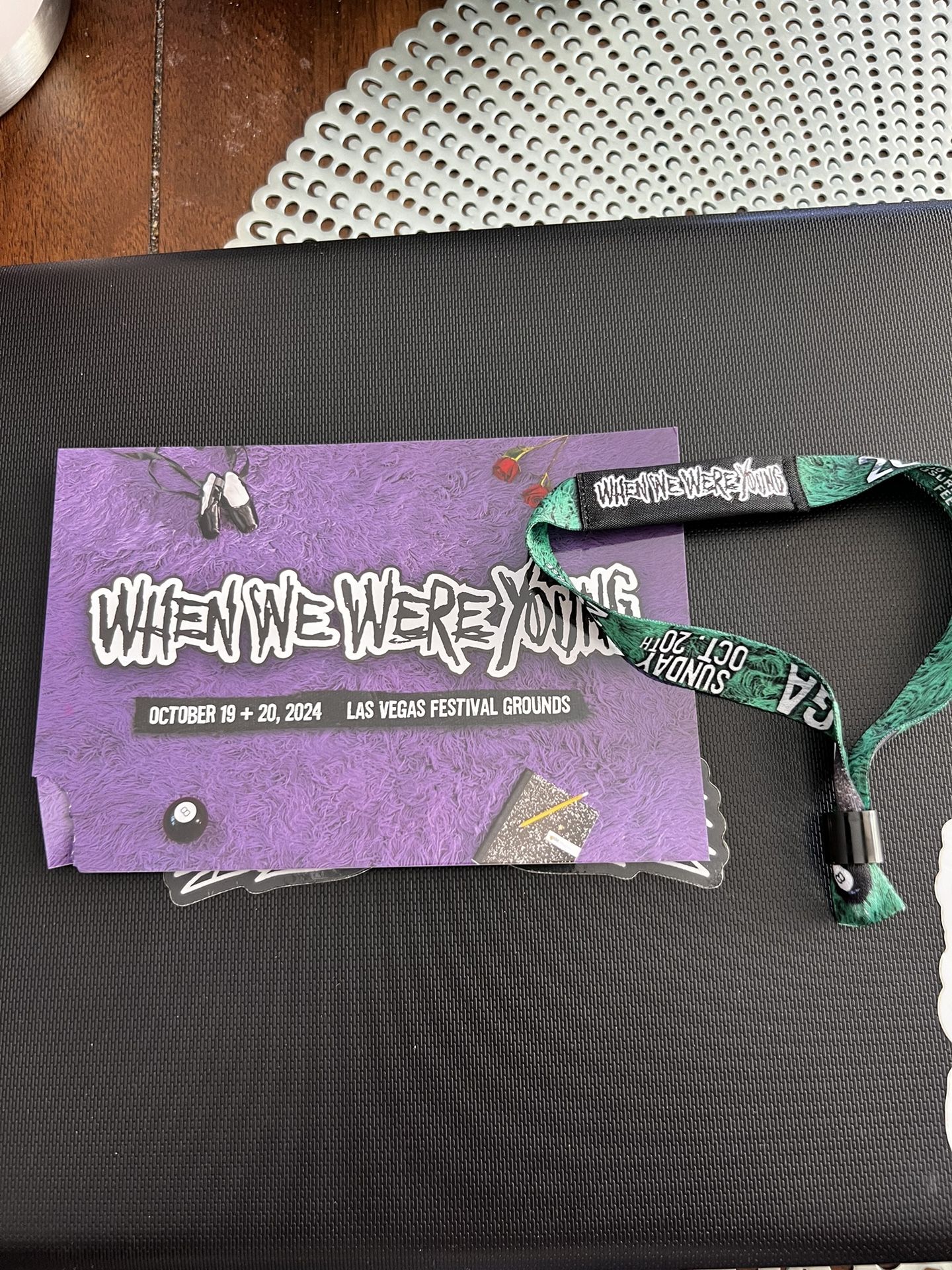 When We Were Young Festival Sunday Wristband