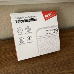Voice Amplifier - Portable Multimedia