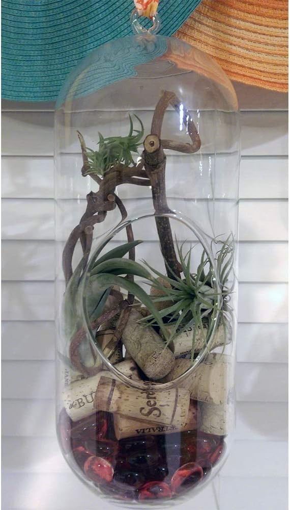 WGV Hanging Glass Plant Terrarium, WGV Glass Rectangle Block Vase