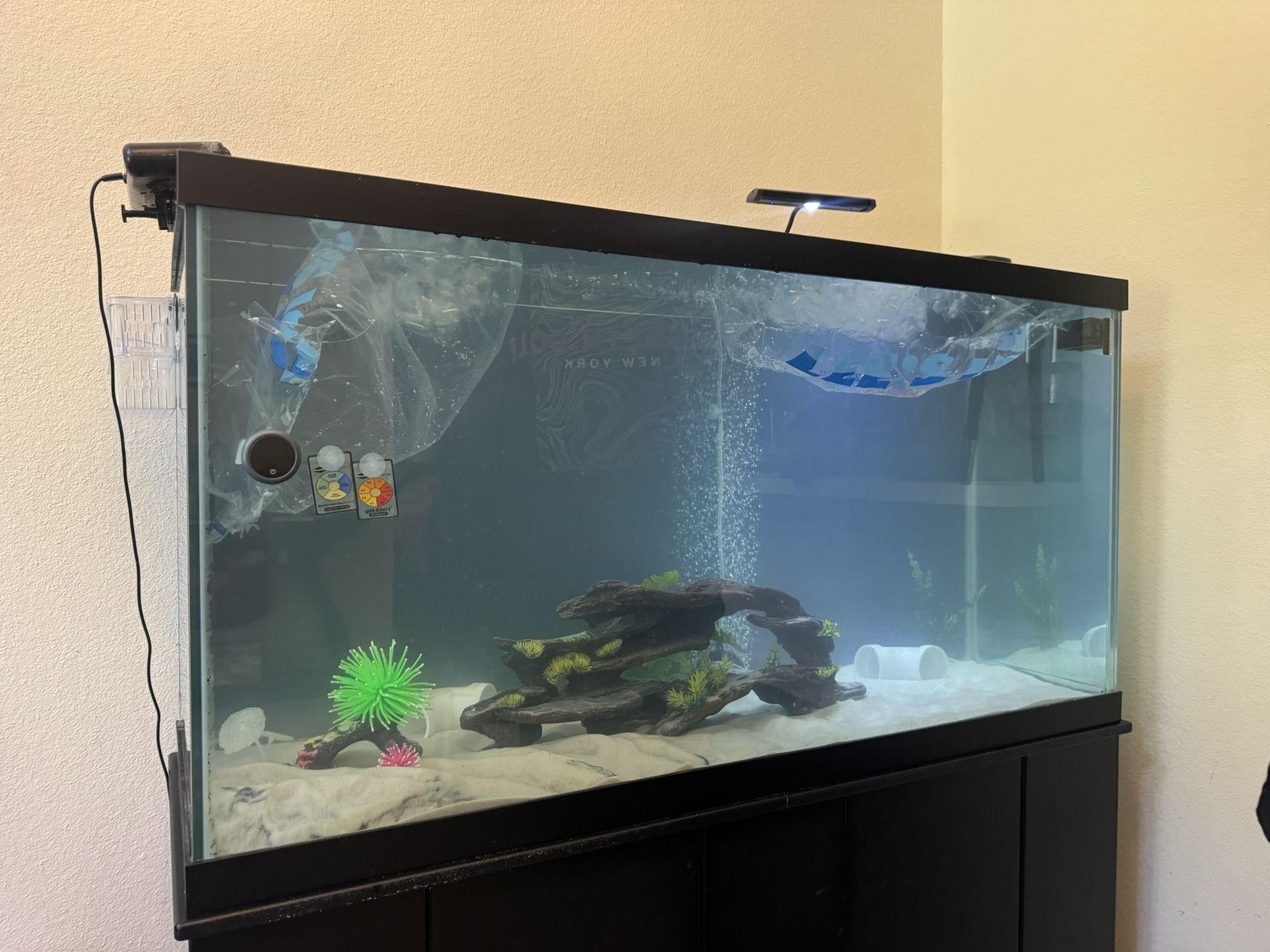 90 Gallon Tank With A Wooden Stand Glass Cover And