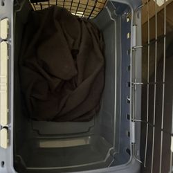 Cat Carrier