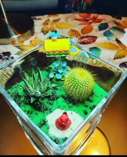 Bird mini garden 🐦
