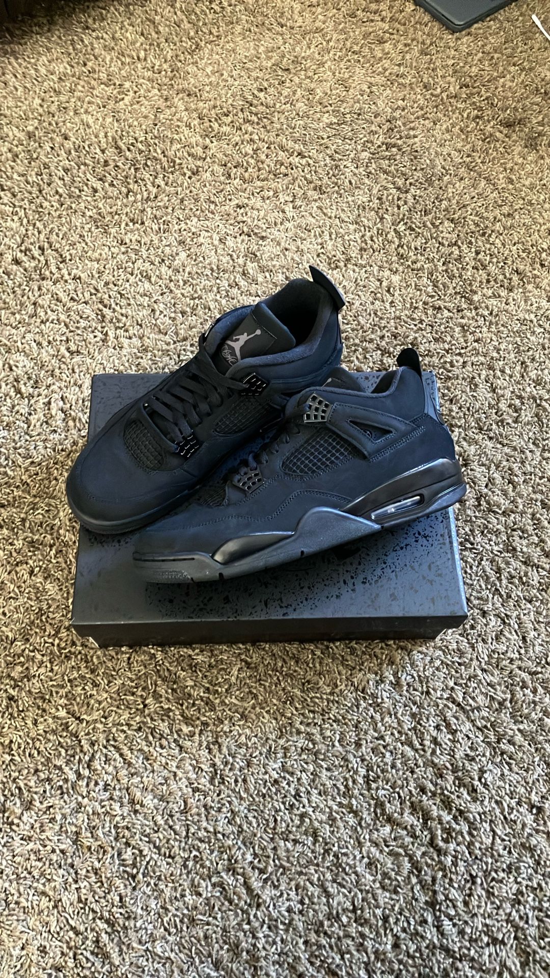 Jordan 4 Black Cat 2025