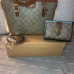 Purse And Wallet  Set 