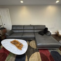Kasala Grey Leather Sectional Couch 