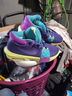 LeBron Witness Nikes