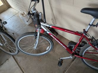 Schwinn Frontier bike