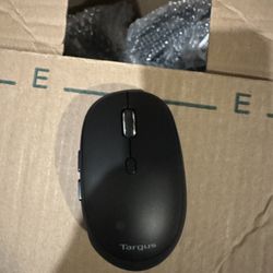 Wireless Mouse Targus Bulk
