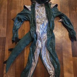 Teetot Dragon Costume