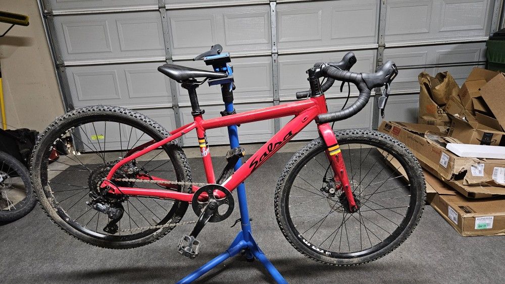 Salsa Journeyman 24"