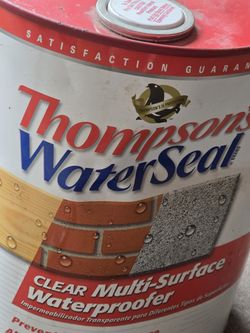 Thompson WaterSeal 5 gal