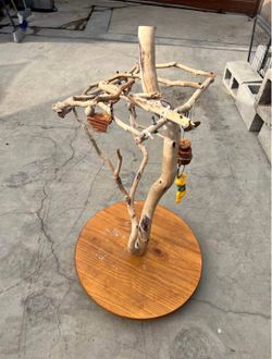 Bird Tree Perch With Wheels