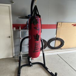 Punching Bag 