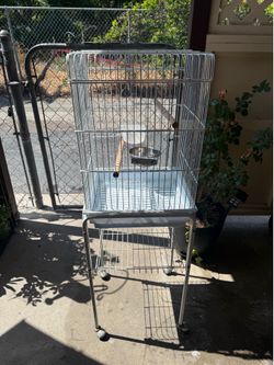 Bird cage