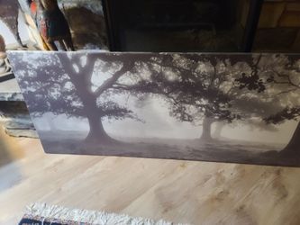 Meadow dream trees Canvas 55x22 picture