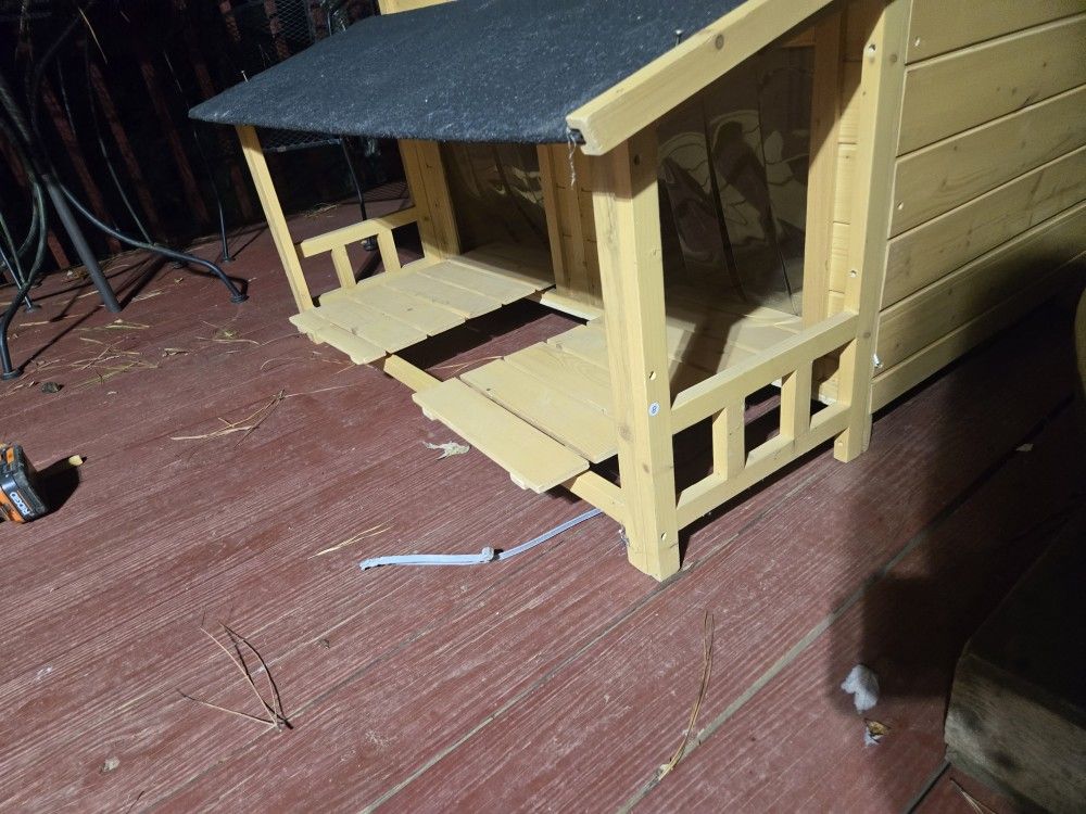 Dog House 