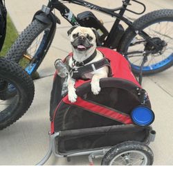 Pet Or Grocery Trailer 