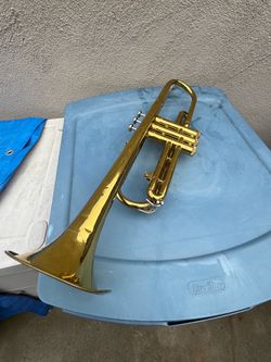 Beautiful 😻 bandy trumpet   🎺.