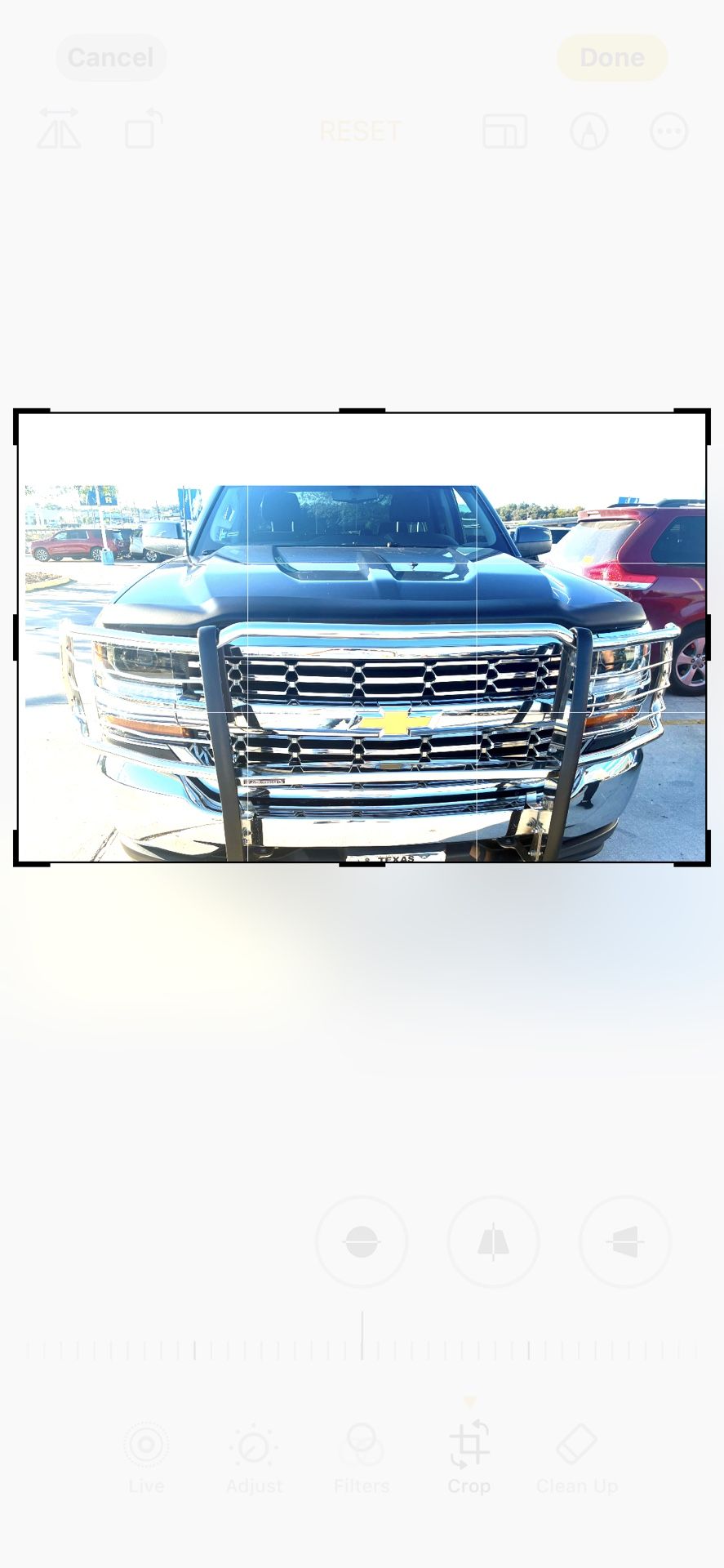 Black horse, chrome shield