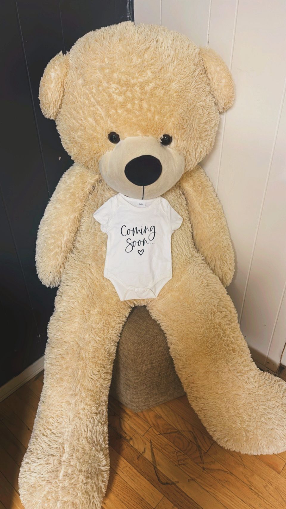 giant teddy bear for any occasion, baby shower
