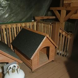 Dog House 