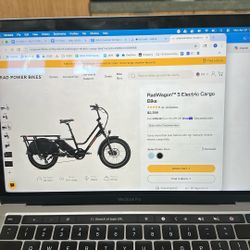 Rad Power Bike Radwahon 5 Electric Cargo Bike