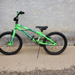 Schwinn Bike Freestyle