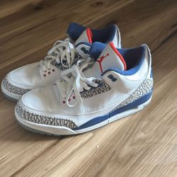 Jordan 3s Size 12