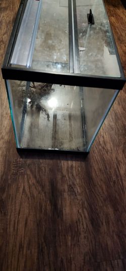 20 gallon tank