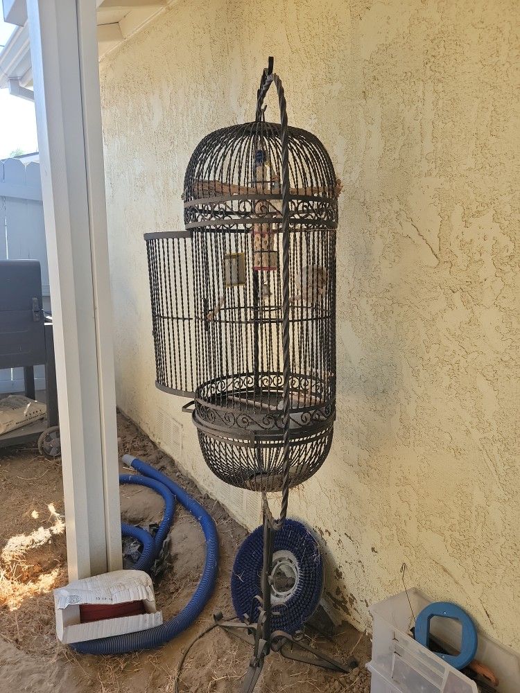 Big Bird Cage Very Dirty . It's Been Outside