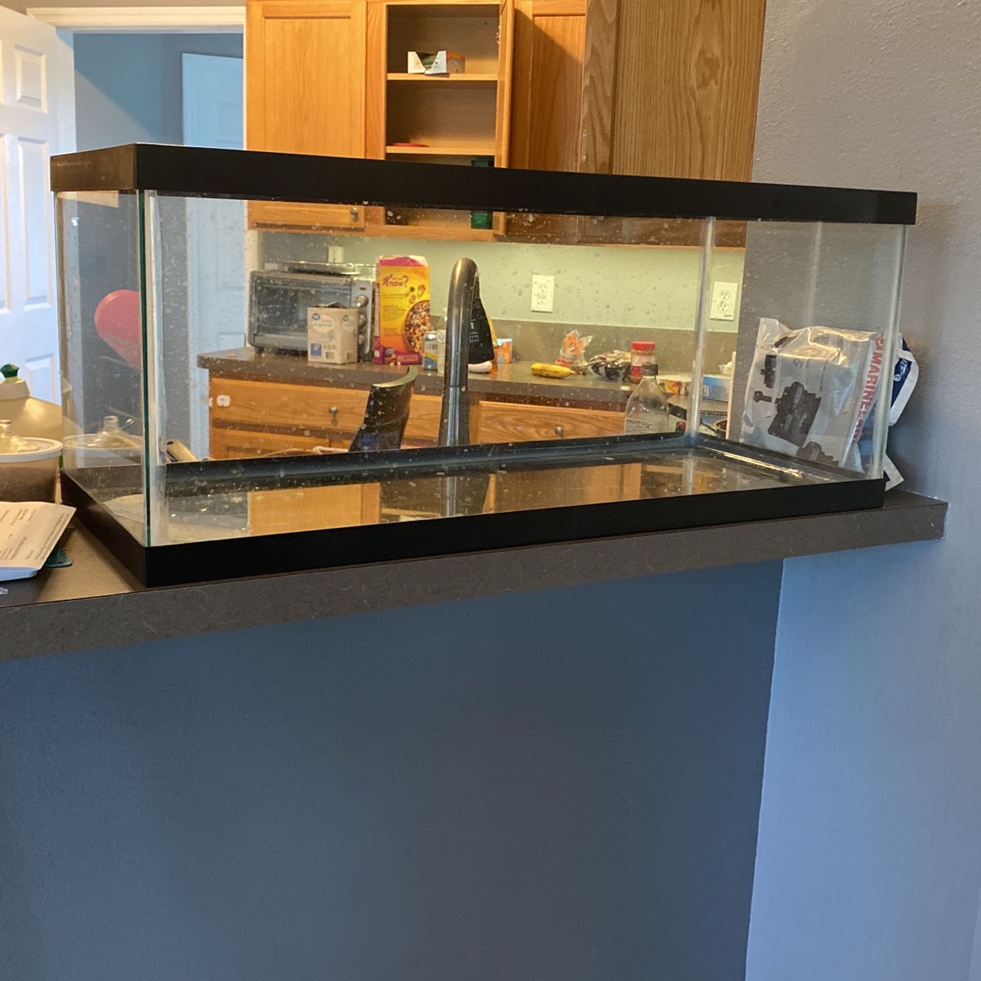 20 gal tank with screen 